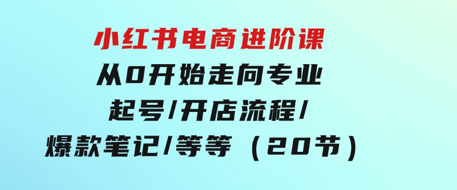 小红书电商进阶课：从0开始走向专业起号/开店流程/爆款笔记/等等（20节）-海南千川网络科技