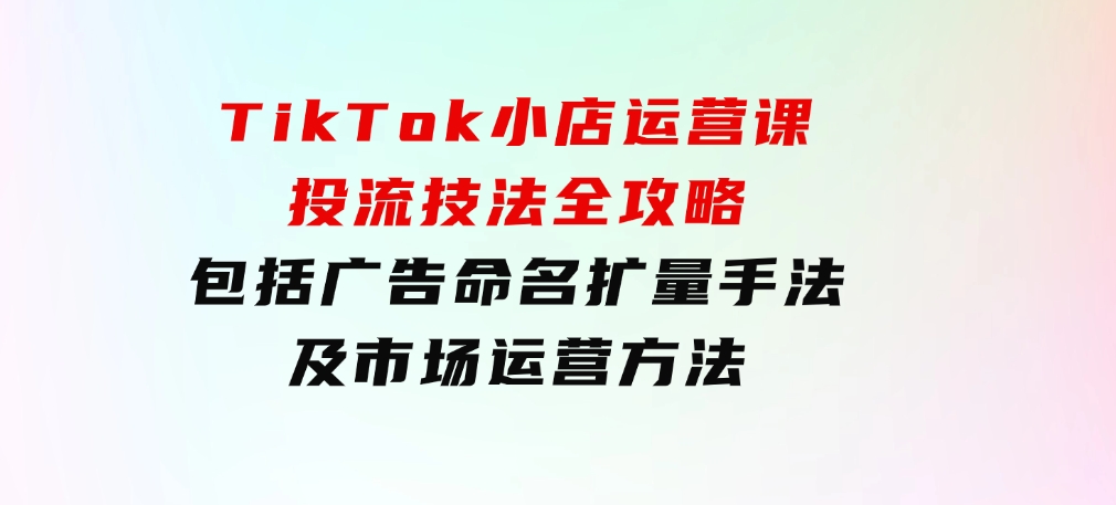 TikTok小店运营课：投流技法全攻略，包括广告命名扩量手法及市场运营方法-海南千川网络科技