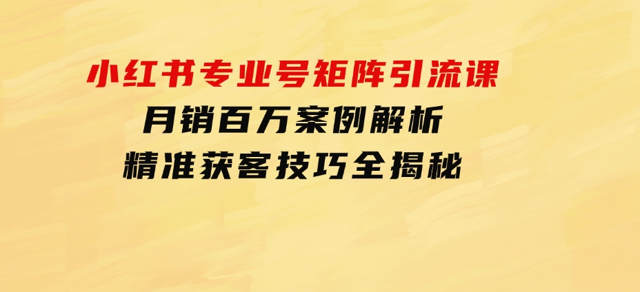 小红书专业号矩阵引流课，月销百万案例解析，精准获客技巧全揭秘-海南千川网络科技