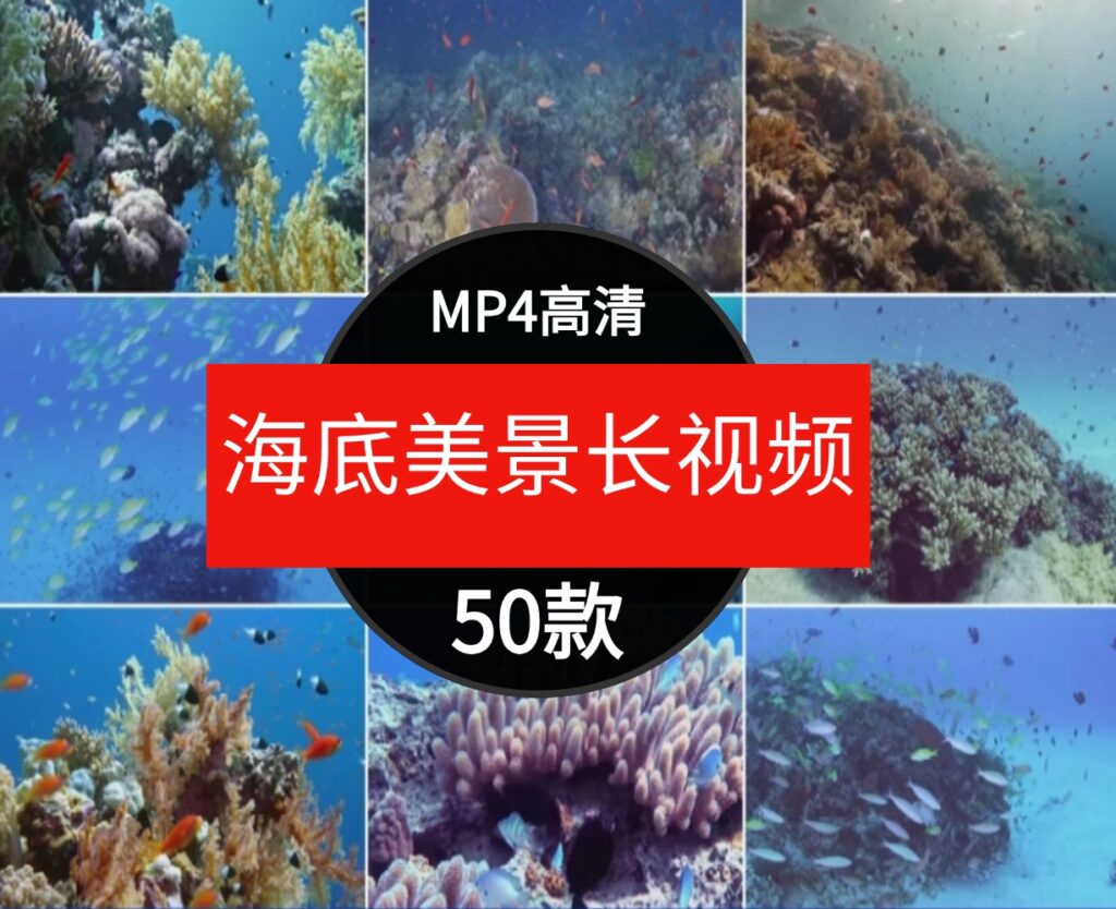 高清海底世界海洋生物鱼群海豚鲨鱼珊瑚潜水特写实拍剪辑视频素材-海南千川网络科技