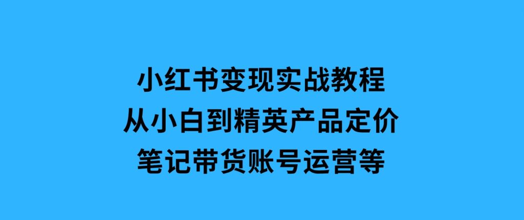 小红书变现实战教程：从小白到精英，产品定价，笔记带货，账号运营等-海南千川网络科技